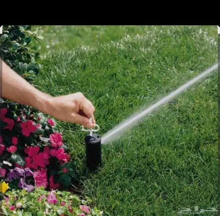 تنسيق حدائق توريد وتركيب الثيل الطبيعي وشبكه الرأي 2