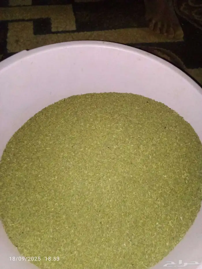 سنوت بلدي ال عبيد ستمتع بمذاق القهوه برواق ومذاق غير 0