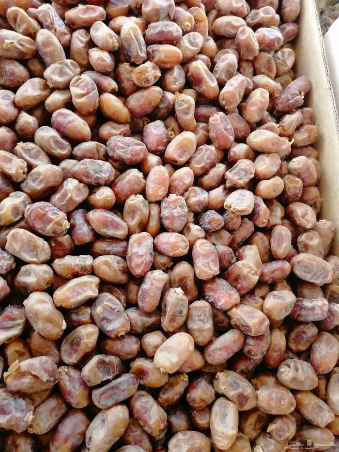 تمر اخلاص حبه وسط 0