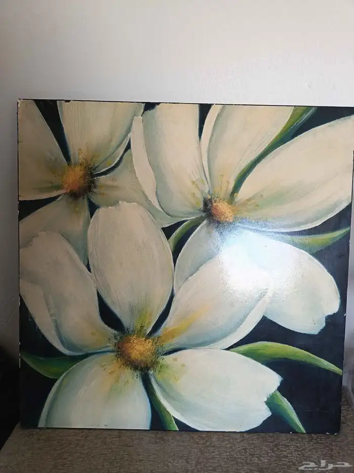 اريكه ولوحه وسكوتر وأغراض اكس بوكس 4