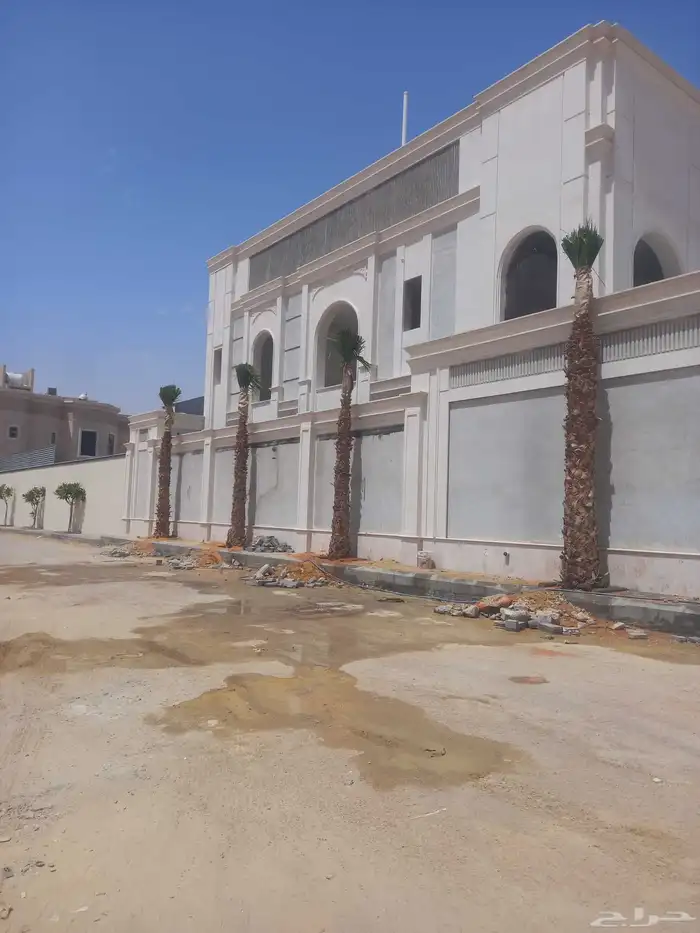 نخل زينه نخيل واشنطني زينه ابو مروحه نحيف وسط عريض جميع 1