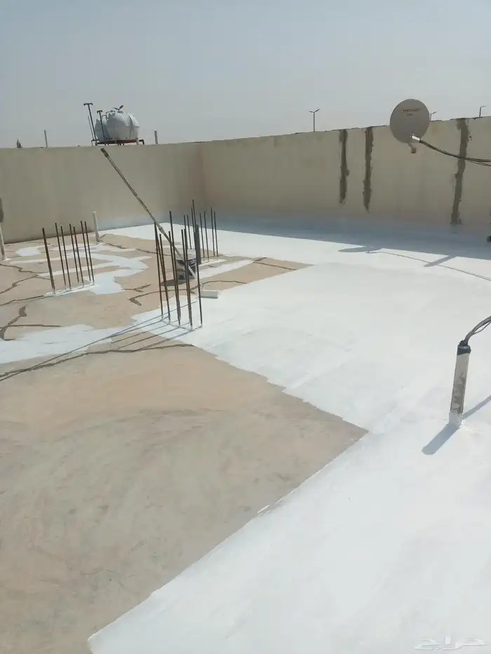 دھان بويا داخلي خارجي 6