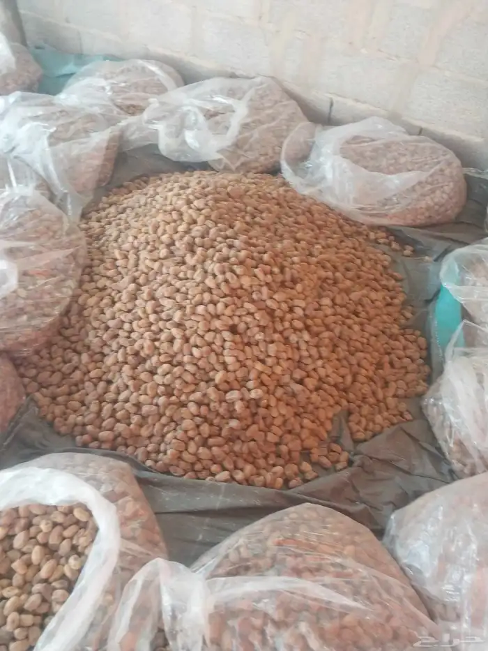 يوجد لدينا تمور خلاص 1