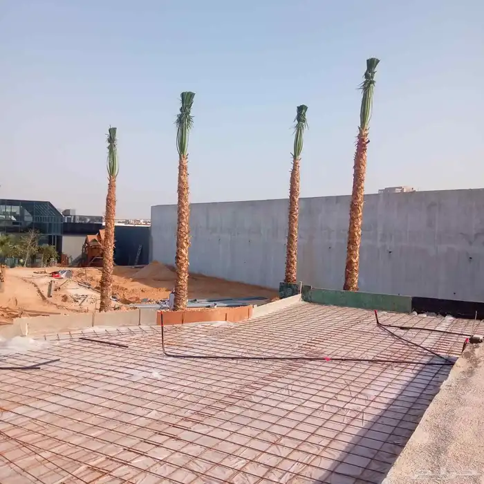 لزراعت النخيل وتركيب الشبوك 4