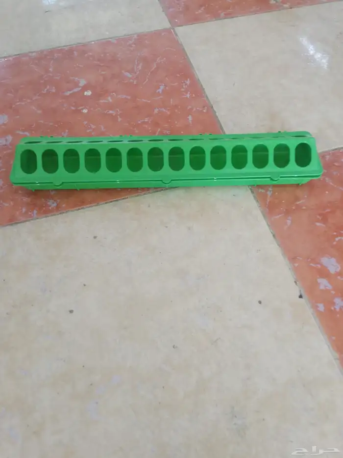 محل قطه وطير 3