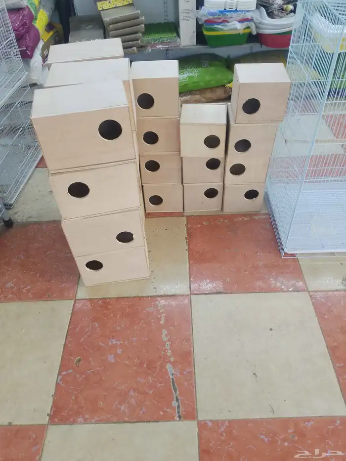 محل قطه وطير 9