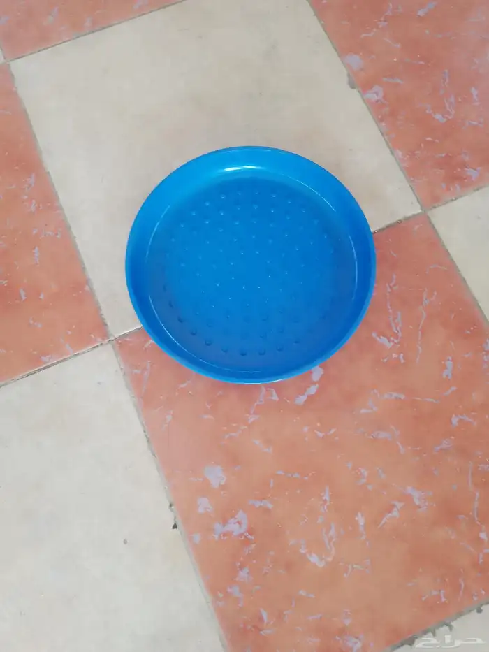 محل قطه وطير 2