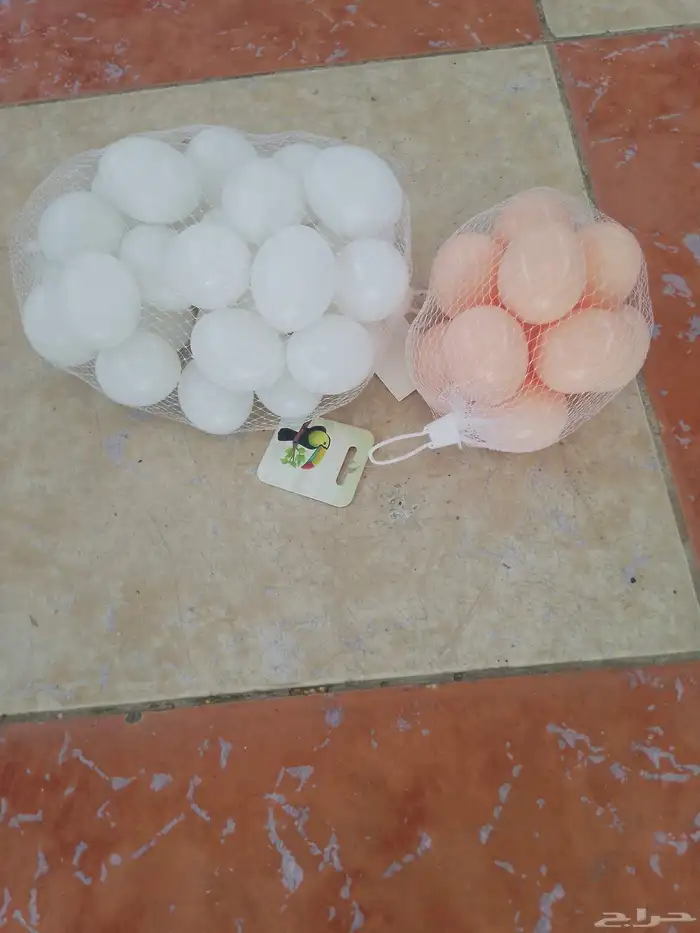 محل قطه وطير 4