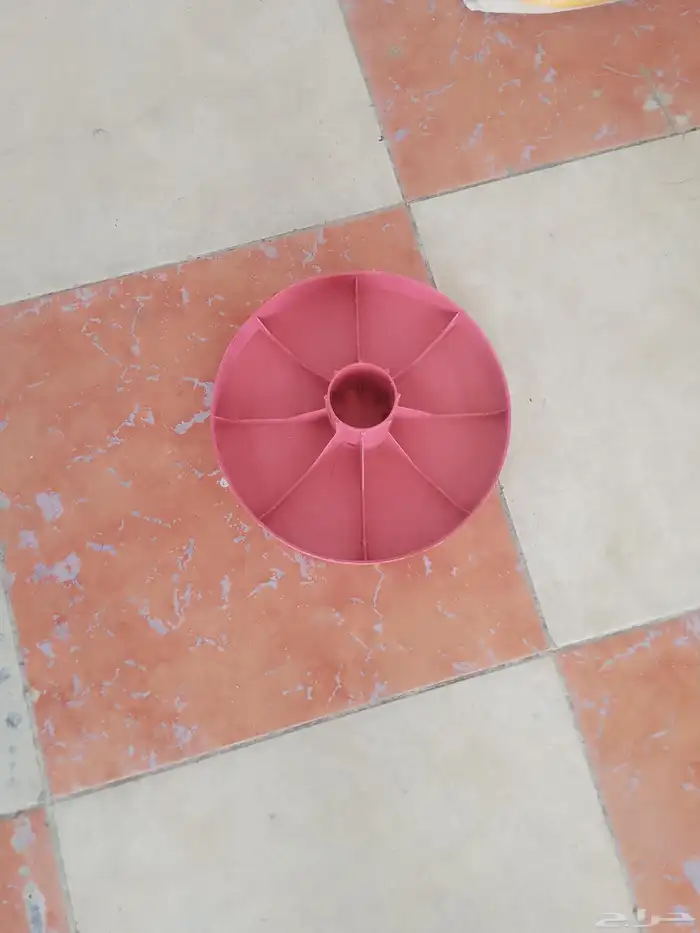 محل قطه وطير 1