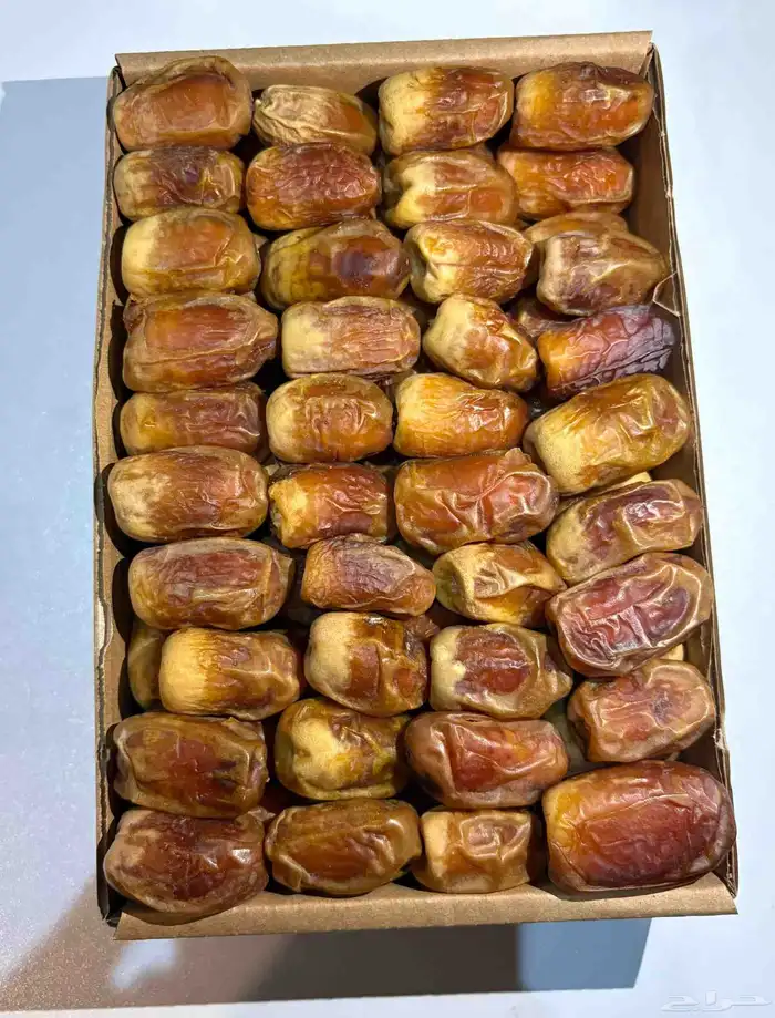 تمر سكري وصقعي 1