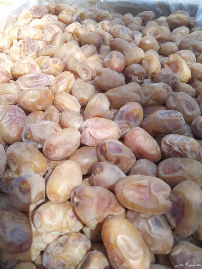 يوجد لدينا تمور فاخره للبيع اخلاص 3