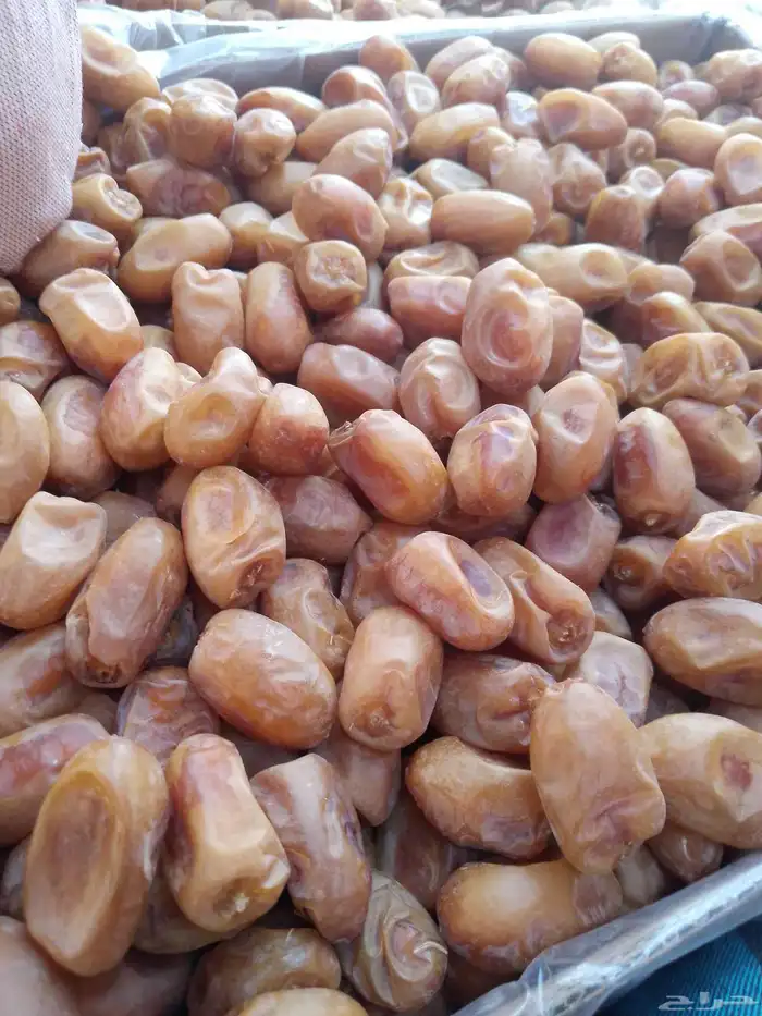 يوجد لدينا تمور فاخره للبيع اخلاص 5