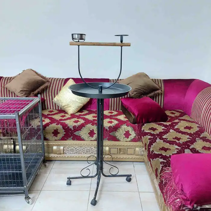 استاند ببغاء 3
