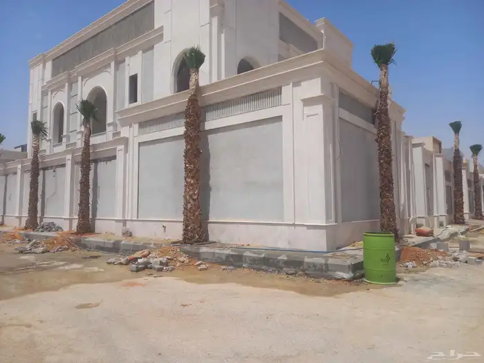 نخل زينه نخيل واشنطني زينه ابو مروحه نحيف وسط عريض جميع 0