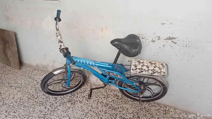 سيكل اندوسي اصلي 1