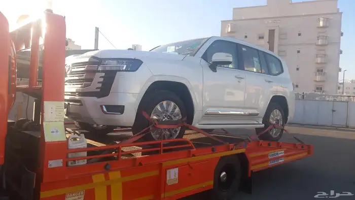 سط  القوز القنفد  حلي جيزان 0