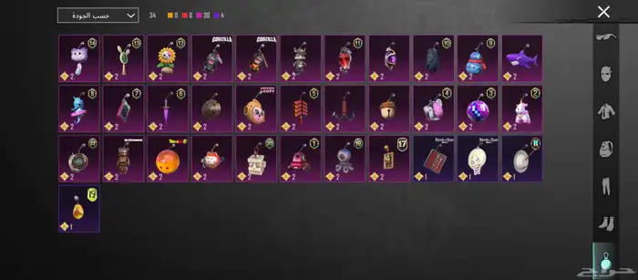 حساب ببجي للبيع 14