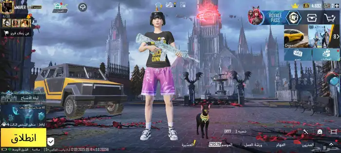 حساب ببجي للبيع 2