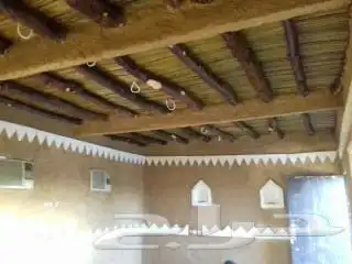نخييل وشبوك 18