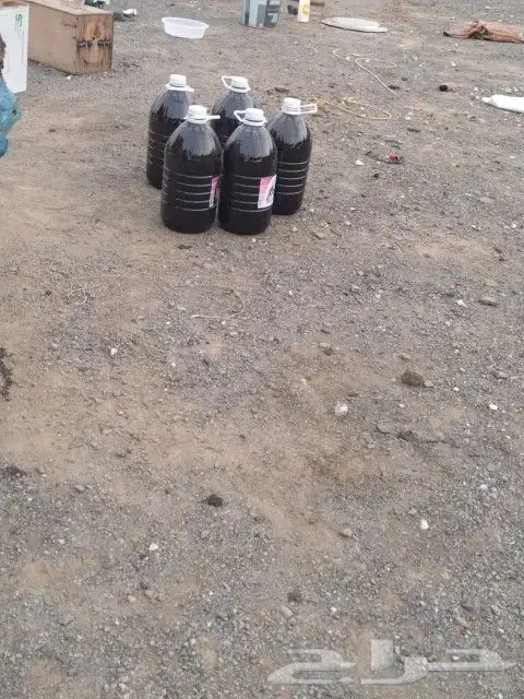 عسل مراعي سمر وسلام 1