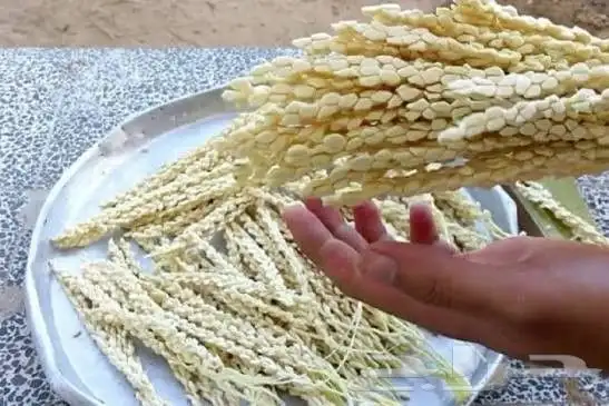 تكريب نخل تلقيح نخل أشجار مثمرة زرع طبيعي 2