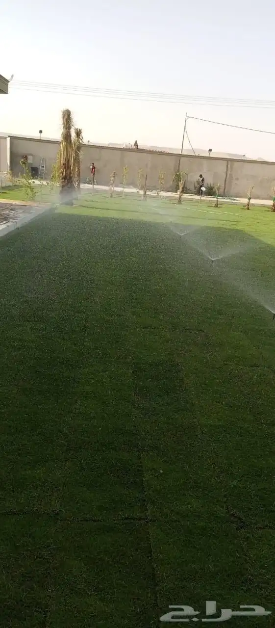 تنسيق حدائق توريد وتركيب الثيل الطبيعي وشبكه الرأي 19