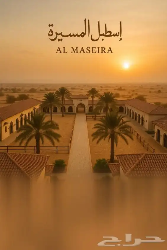 ركوب خيل لجميع الاعمار بأفضل الأسعار جدة الحمدانية 1