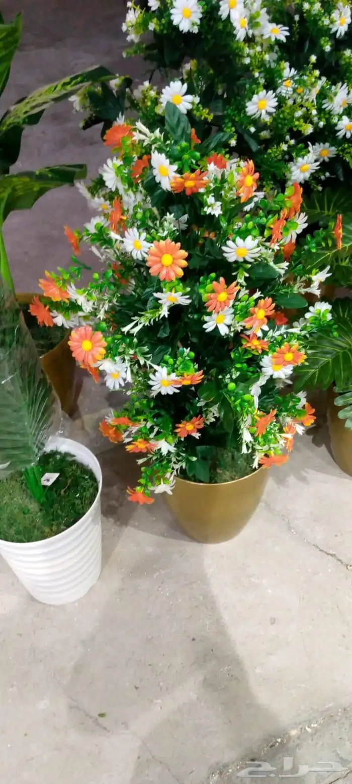تنسيق حدائق جده ومكه 39
