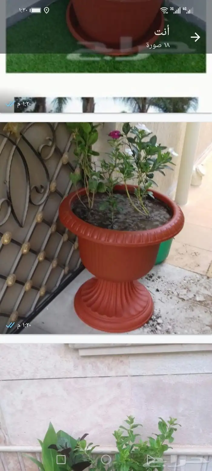 تنسيق حدائق جده ومكه 21