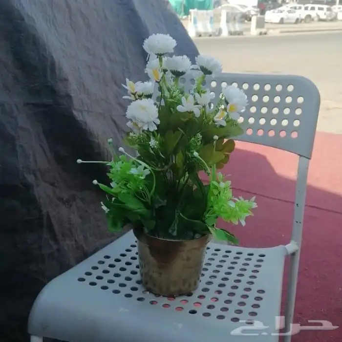 تنسيق حدائق جده ومكه 28