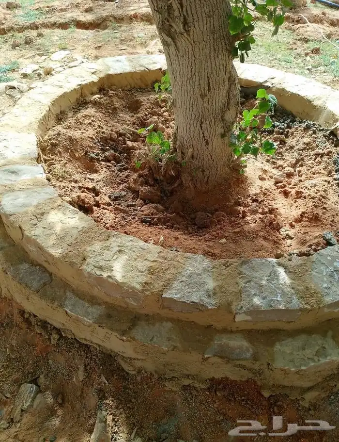 Natural stone contractor with high experience and guaranteed 5