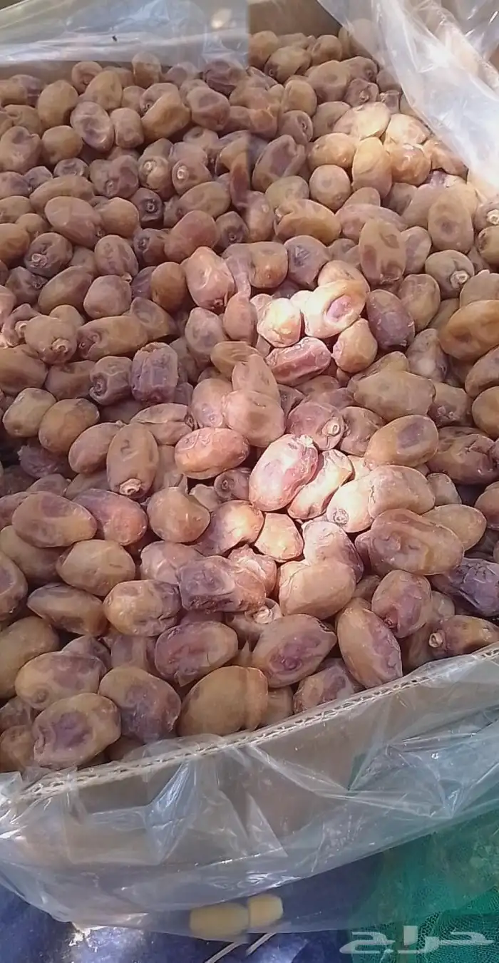 ماشاء الله تمر طيب وحبه فخر وحبه شقرا القرنه 0