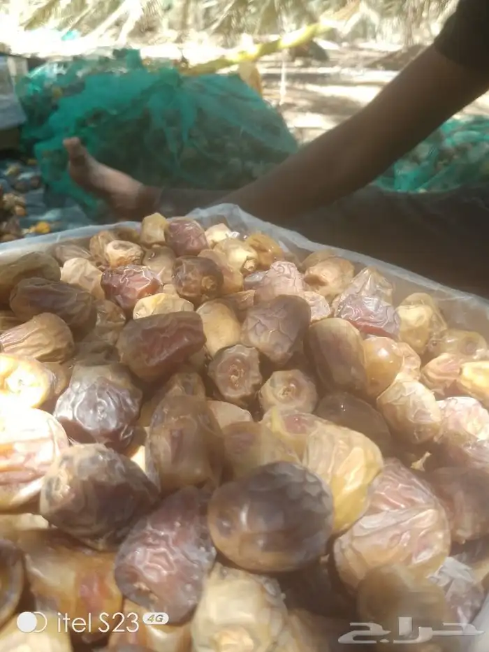 السلام عليكم ورحمه الله وبركاته 1