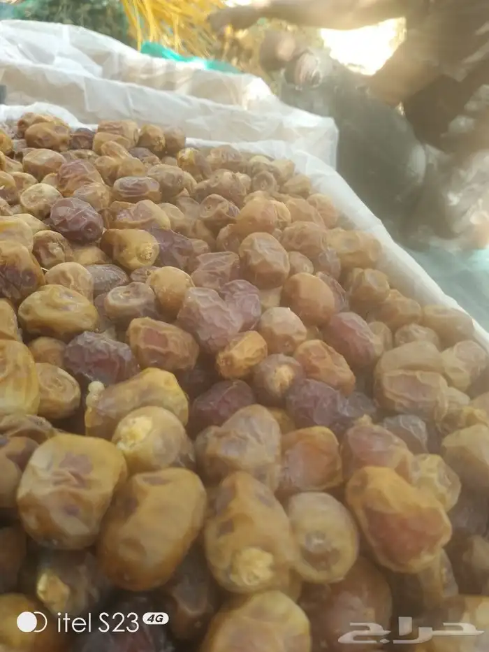 السلام عليكم ورحمه الله وبركاته 0