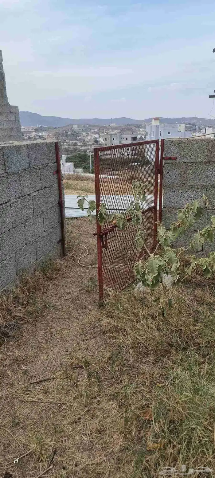 أبواب شبك مقاسات متفاوته 1