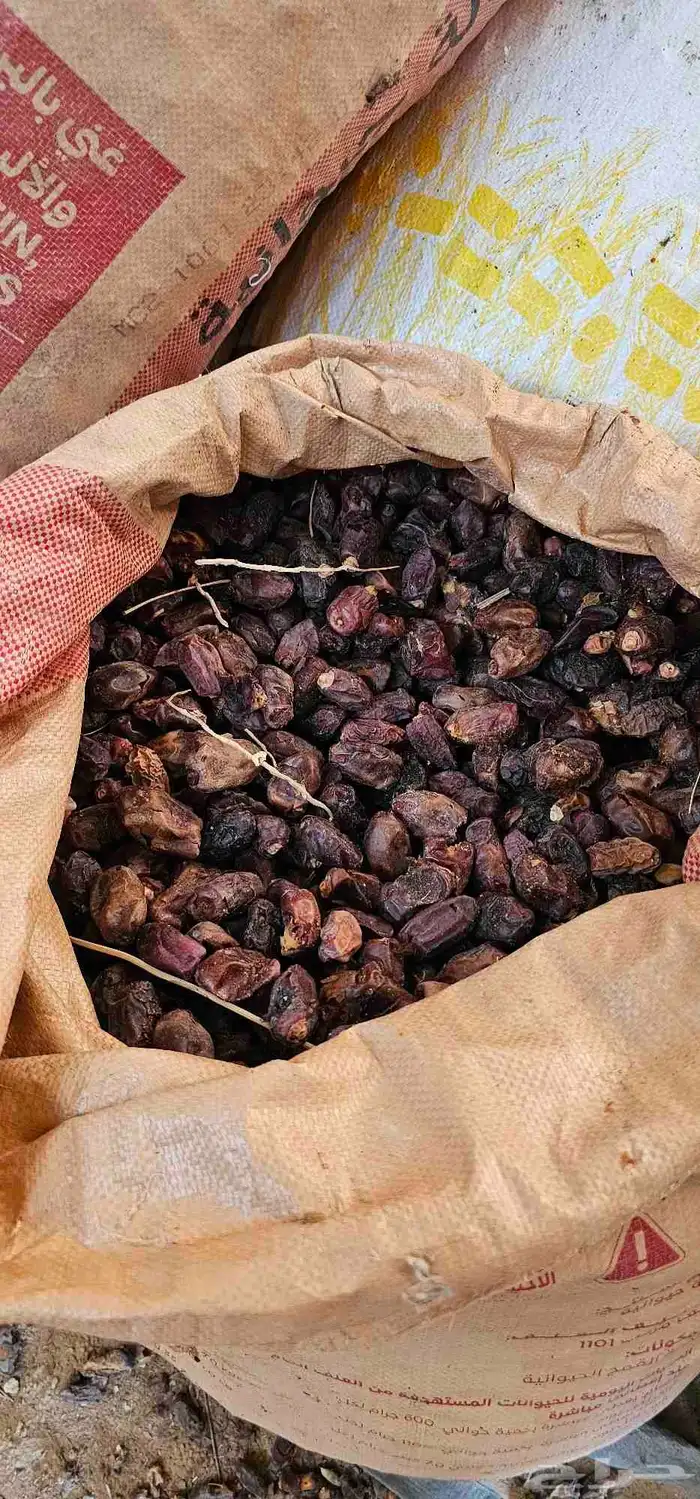 تمر علف الخيشة 16 ريال 0