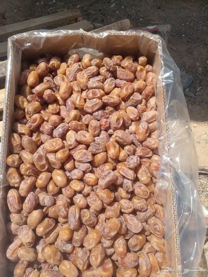 50 كرتون إخلاص اشقر للبيع في الرياض 4