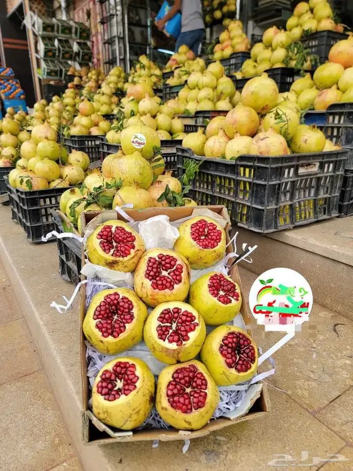 رمان فاخر 9كيلو 150ريال. عنب فاخر8كيلو 150ريال. برشومي 0