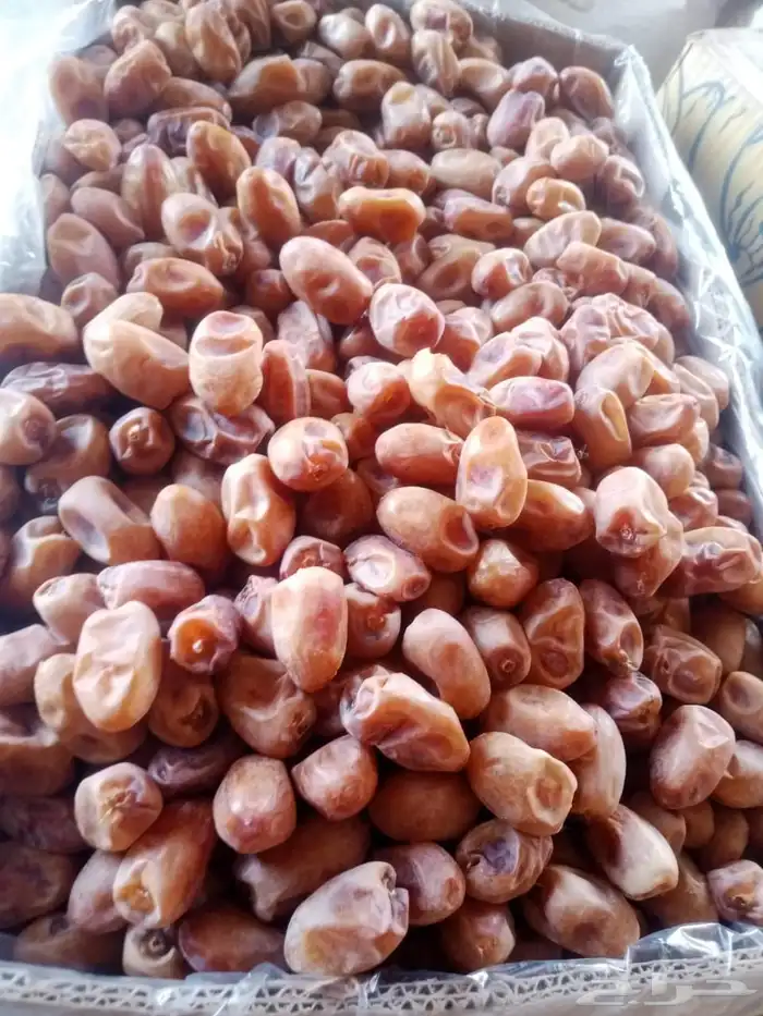 50 كرتون إخلاص اشقر للبيع في الرياض 7