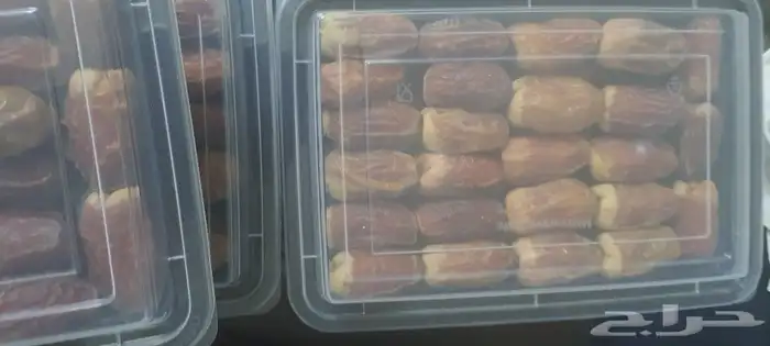 تمر صقعي فاخر للبيع 5