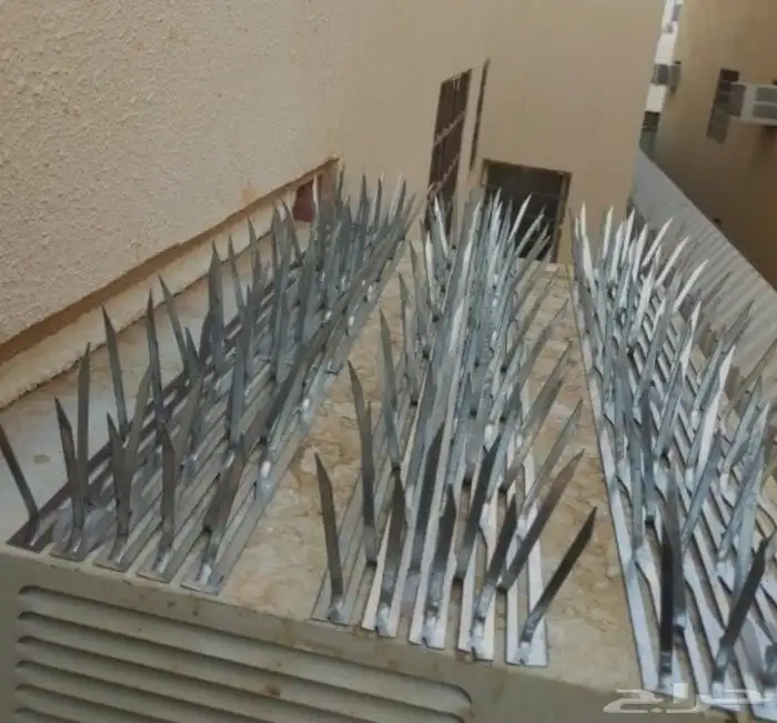 طارد حمام تركيب شبك و اشواك مانع الحمام 6