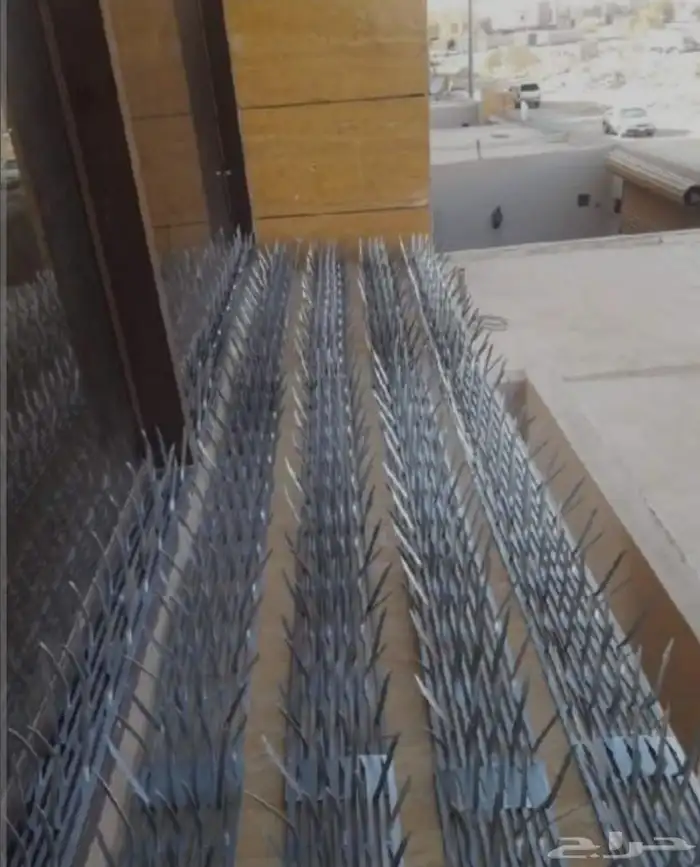 طارد حمام تركيب شبك و اشواك مانع الحمام 4