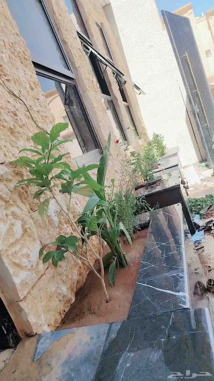 ابو عبدالله لتوريد جميع الاشجار ونخيل وتنسيق الحدائق 7