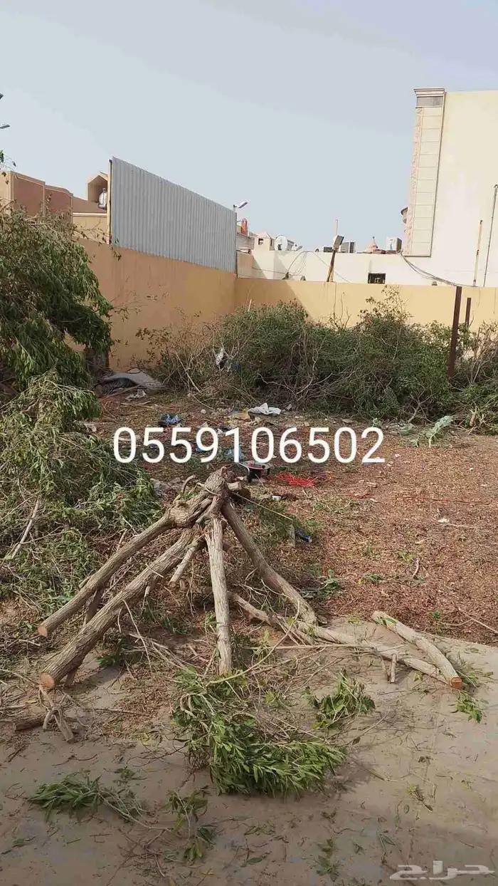 نحل قليلا نظيف 4