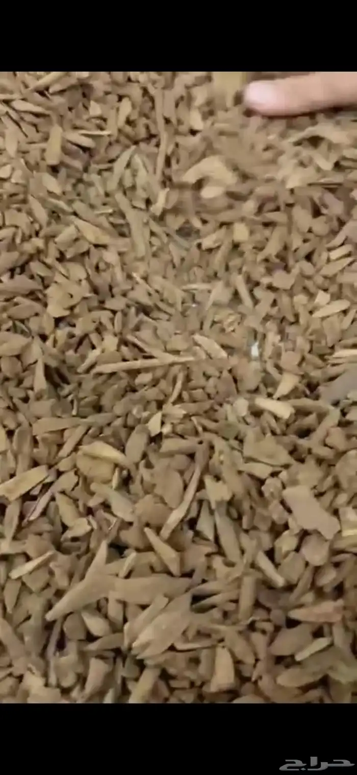 عود بخور دقه مروكي طبيعي جدا بسعر مغري 2