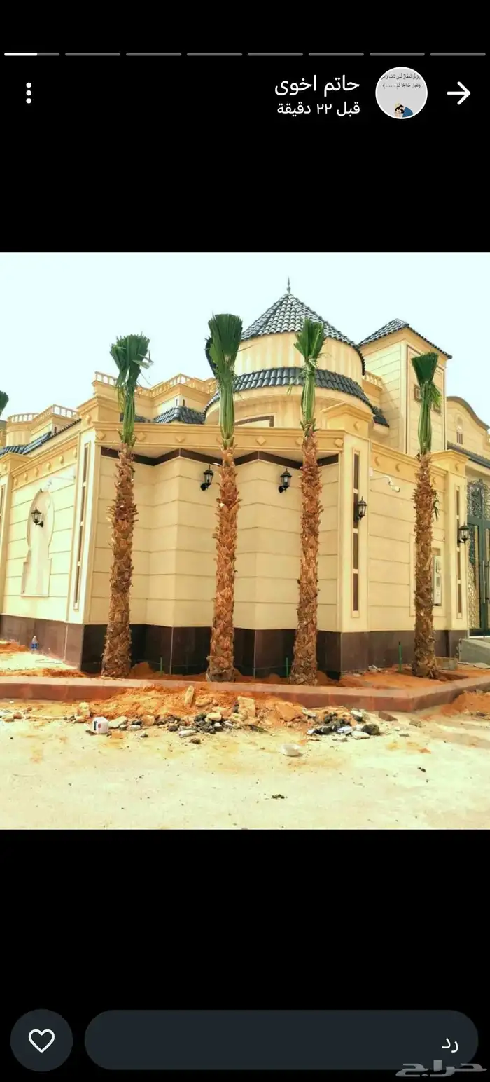 نخل واشنطني وملوكي وعربي جميع الأحجام ويوجد وسط أسعار مناسبه 0