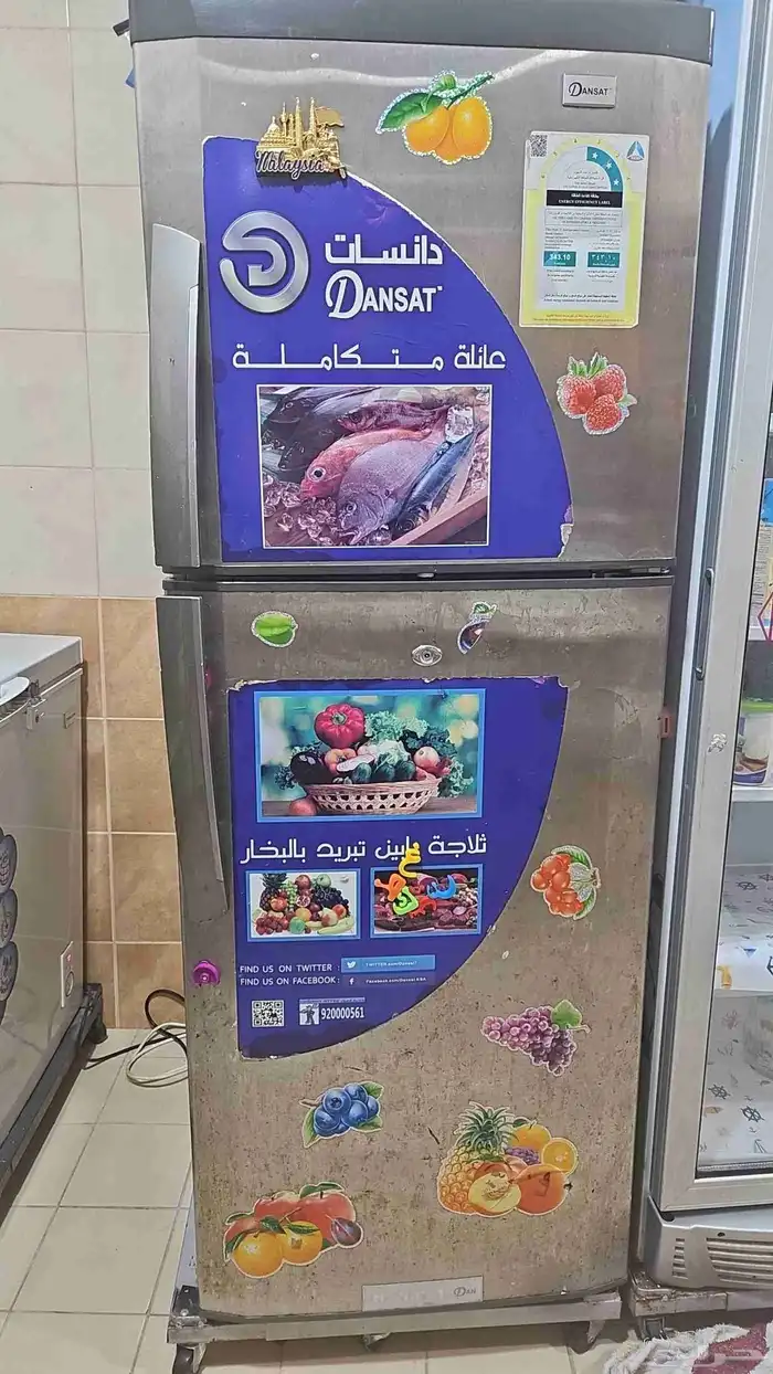 ثلاجة دانسات 2