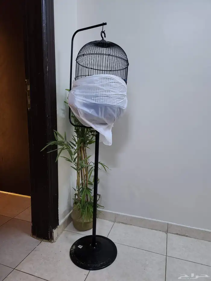 طيور روز عدد 2 2