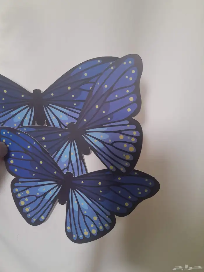 مصمم جرافيك.طباعه 8