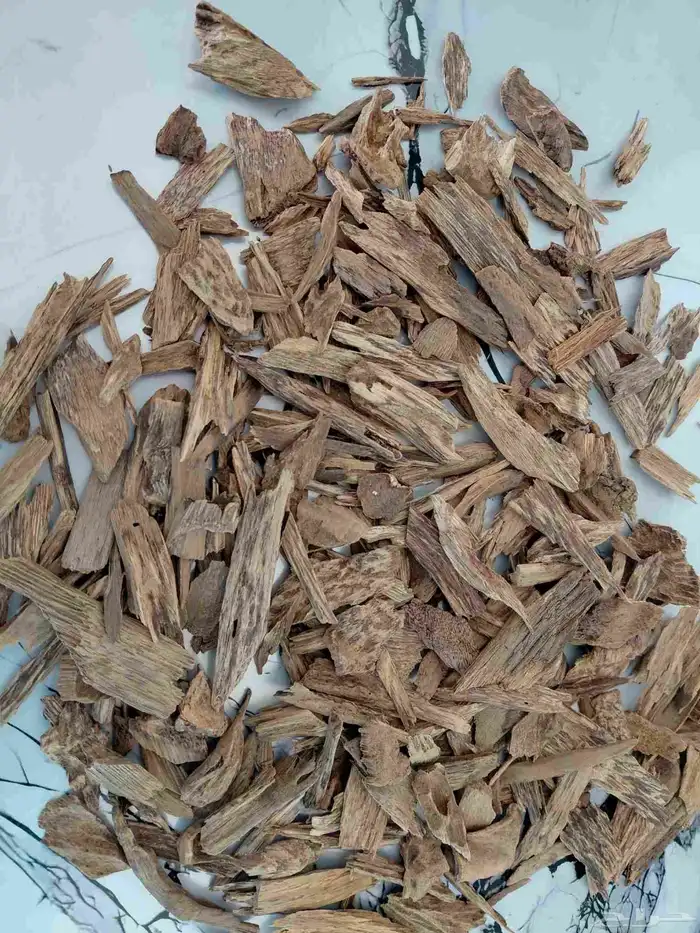 عود كلمنتان بونتيانك طبيعي 0